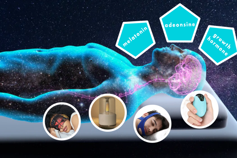 How Sleep Works: Understanding the Science of Sleep